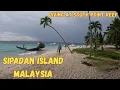Sipadan Island, South Point Reef, Malaysia