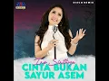 Cinta Bukan Sayur Asem (Disco Remix)