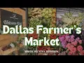 Dallas Farmer s Market Getting Lunch and Shopping