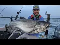 King Salmon Fishing on Lake Michigan - In Depth Outdoors TV Season 15 Episode 23