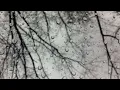 Akira Yamaoka - True
