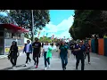 Maldita Vecindad - Pata de Perro - Festival Cordillera Colombia 2024