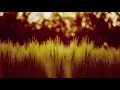 Subreachers - Elysian Fields