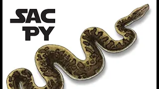 SacPy - Python in a Nutshell with Alex and Anna