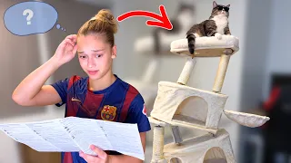 WIJ KRIJGEN KITTENS 🐯 😱🎉 - DEEL 1 