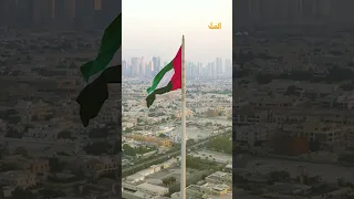 The Mysterious Fate Of The Defected Consul What Happened To Ziad Zahreddine  The Mysterious Fate Of The Defected Consul What Happened To Ziad Zahreddine