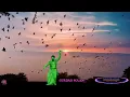Download Lagu Panchi Udd Gaye Ne - Gurdas Maan.