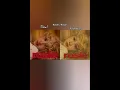 Download Lagu Blackpink Solo Albums as Realistic Drawings#shorts#blackpink#album#kpop#viral#fyp#drawing#goviral