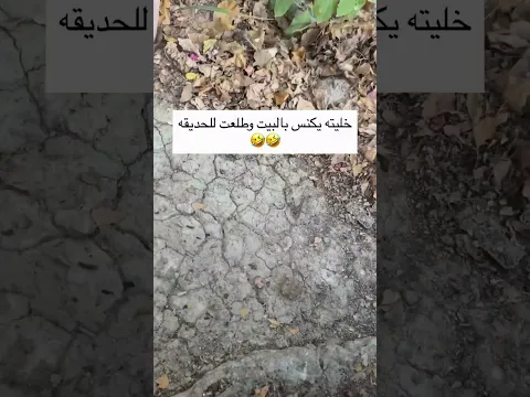 جبت روبوت حته مفاصلي ترتاح 😂#shorts #ترند #اكسبلور #يوتيوب #لايك #ضحك