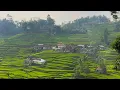 Download Lagu Kecapi Suling Sunda Merdu Dengan Suasana Pedesaan dari Perbatasan Tasikmalaya - Garut ( Taraju )