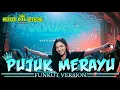 Download Lagu PUJUK MERAYU SPECIAL FUNKOT REMIX SONG DJ UNA 2020 THE WAREHOUSE