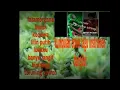 Download Lagu kumpulan cover instrumen dangdut irul \u0026 indra string