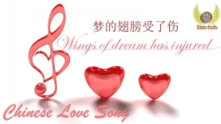 Download 梦的翅膀受了伤 - Meng De Chi Bang Shou Le Shang ( Chinese Music - Wings of dream has injured ) MP3