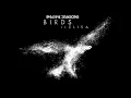 Imagine Dragons - Birds (Audio) ft. Elisa