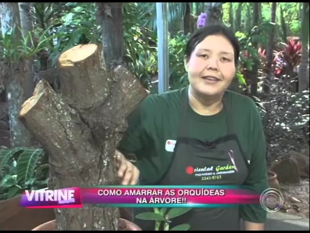 COMO AMARRAR ORQUÍDEAS NA ÁRVORE (05/10)