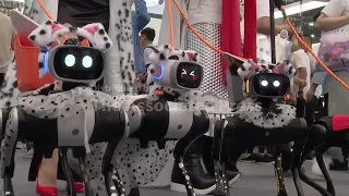 Chinese robot industry confident despite US import ban