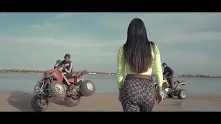         دندنها