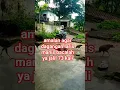 Download Lagu amalan agar dagangan laris manis