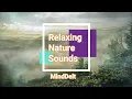 Forest Birdsong - Relaxing Morning Nature Sounds - Birds Chirping - REALTIME - NO LOOP - 30 Min