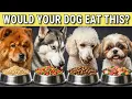 10 Dog Food Brands To AVOID At All Costs And Few That Are Safe