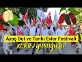 Download Lagu 💚Ayaş Dut ve Tarihi Evler Festivali 2025 (Açılış Korteji) ✅Ankara'dan Haber Var