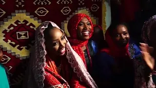 Kanuri Yerwa Wedding عرس قبائل البرناوي بين الحضارة والعادات والتقاليد Nategeniustv3035 