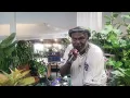 DJ Sir Daniel: LIVE At The Greenhouse