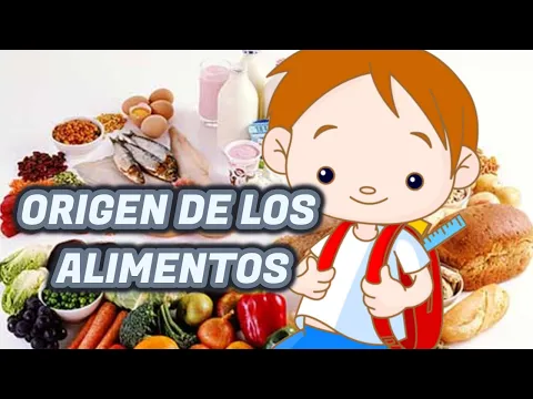 Download MP3 ORIGEN DE LOS ALIMENTOS -ANIMAL,VEGETAL Y MINERAl