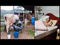 Download Lagu TIRANDO LEITE CEDO + MÃE FEZ 2 CIRURGIAS E FIQUEI CHOCADO COM O VALOR