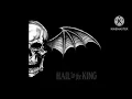 Avenged Sevenfold Doing Time Audio