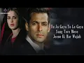 Download Lagu Saiyaara (LYRICS) - Ek Tha Tiger |  | Salman Khan, Katrina Kaif | Mohit Chauhan, Tarannum, Sohail S