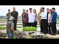 Lagu Penyerahan Bantuan, Penanaman Padi Menggunakan Transplanter dan Dialog Petani di Kab. Langkat