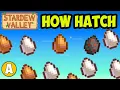 Stardew Valley how to HATCH EGGS with Incubator EASY