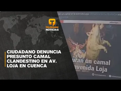 Ciudadano denuncia presunto camal clandestino en av. Loja