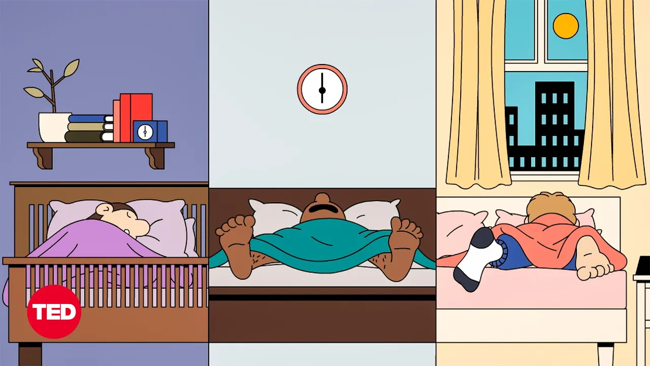 Outline Video Do You Really Need 8 Hours of Sleep Every Night? | Body Stuff with Dr. Jen Gunter | TED