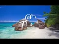 Mr. Belt & Wezol, BENDAH - I Feel Love feat. LIMITED LIFE (Lyrics)