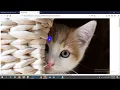 Responsive web desigin - jquery plugin part
