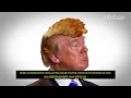 La oruga Donald Trump que causa furor en Peru