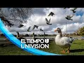Tiempo en Dallas Texas para esta manana el pronostico del miercoles 27 de abril de 2022