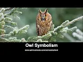 Owl Symbolism