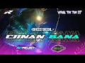 Download Lagu DJ CIINAN BANA HOREG VIBES X BASS BEDIL NROTOK || RGY PROJECT