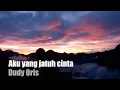 Download Lagu Aku yang jatuh cinta - Dudy Oris ( TikTok Version )