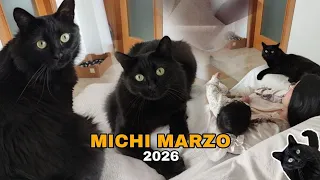 MICHI MARZO 2026. Karen está perdiendo la cabeza con mi nueva Karen.
