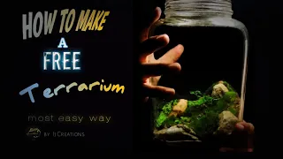 how to make a terrarium terrarium how to make plant terrarium plant video