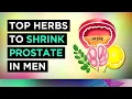 The Best Herbs To TREAT Enlarged Prostate (BPH)