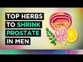 The Best Herbs To TREAT Enlarged Prostate BPH