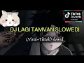 Download Lagu Dj LAGI TAMVAN X SYANTIK( Slowed Remix)2025