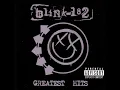 Blink 182 - Adam's Song