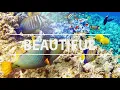 Chasing Cloud Nine - LUCHS (BEAUTIFUL)