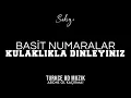 Zerrin Özer - Basit Numaralar | Türkçe 8D Müzik🎧